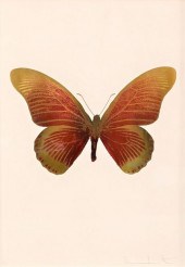 DAMIEN HIRST (B. 1965)Damien H