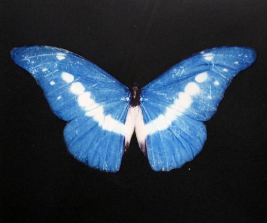 Damien Hirst (b.1965) colour