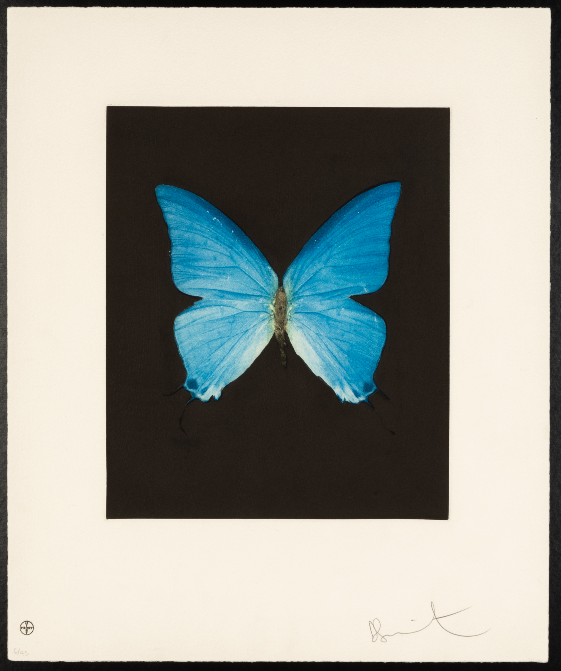 DAMIEN HIRST (BRITISH, B. 1965)