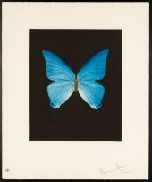 DAMIEN HIRST (BRITISH, B. 1965