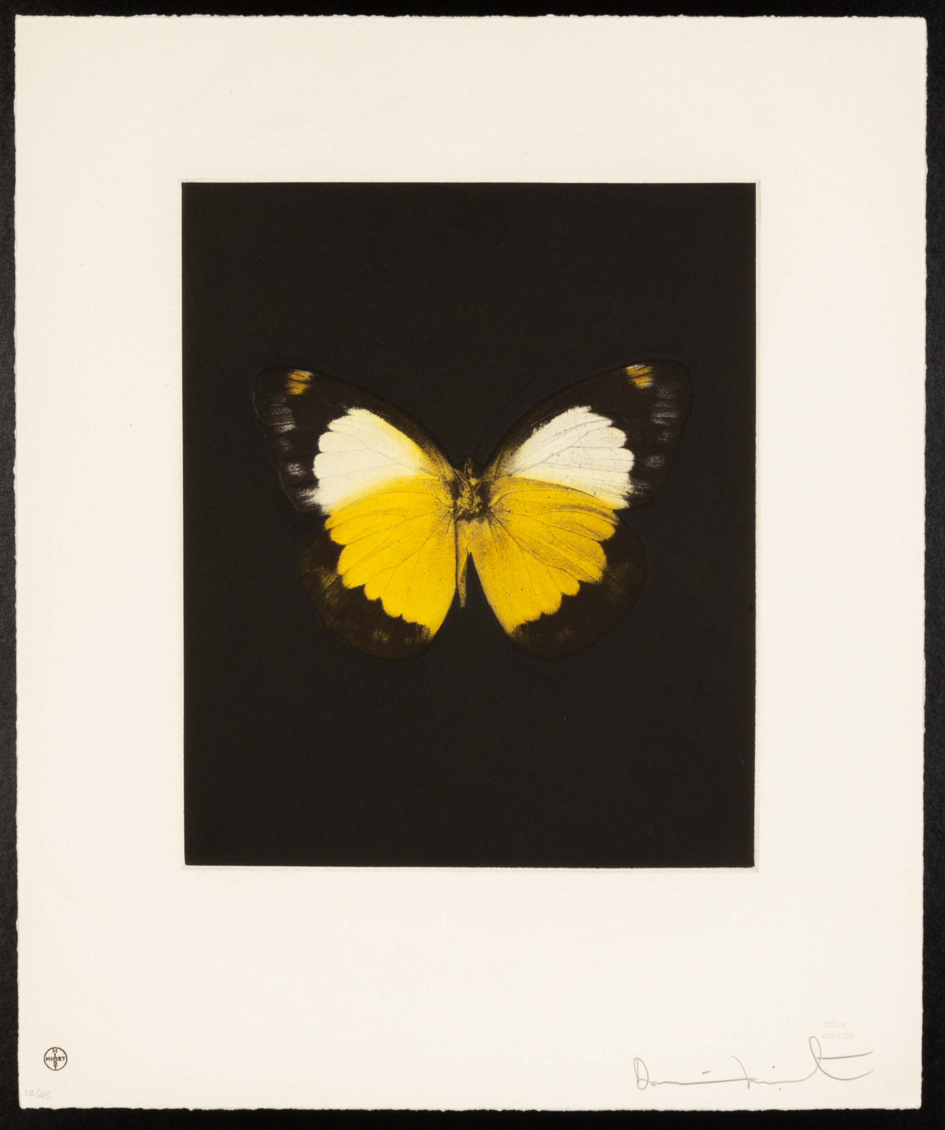 DAMIEN HIRST (BRITISH, B. 1965)