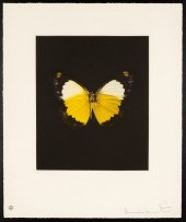 DAMIEN HIRST (BRITISH, B. 1965