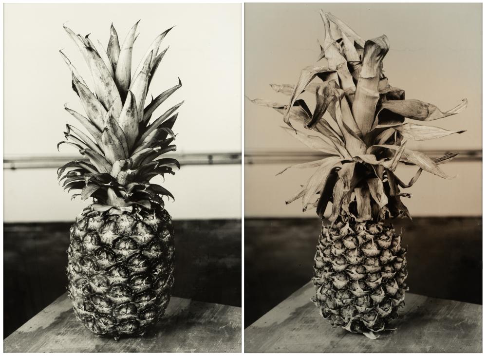 DAN FINSEL (B. 1982): THE SPACE