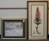 DAN MITRA, BOTANICAL I, COLORE