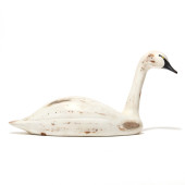 DAN ROBINSON (NC), SWAN<br>Dan