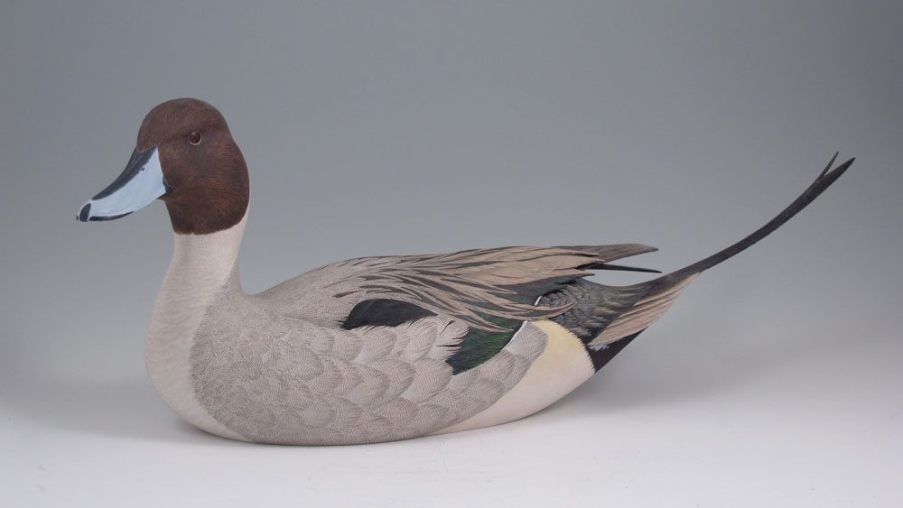 DAN WILLIAMS PINTAIL DRAKE DUCK
