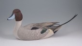 DAN WILLIAMS PINTAIL DRAKE DUC