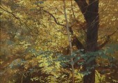 DAN WINGREN (TX D.1998) FOREST