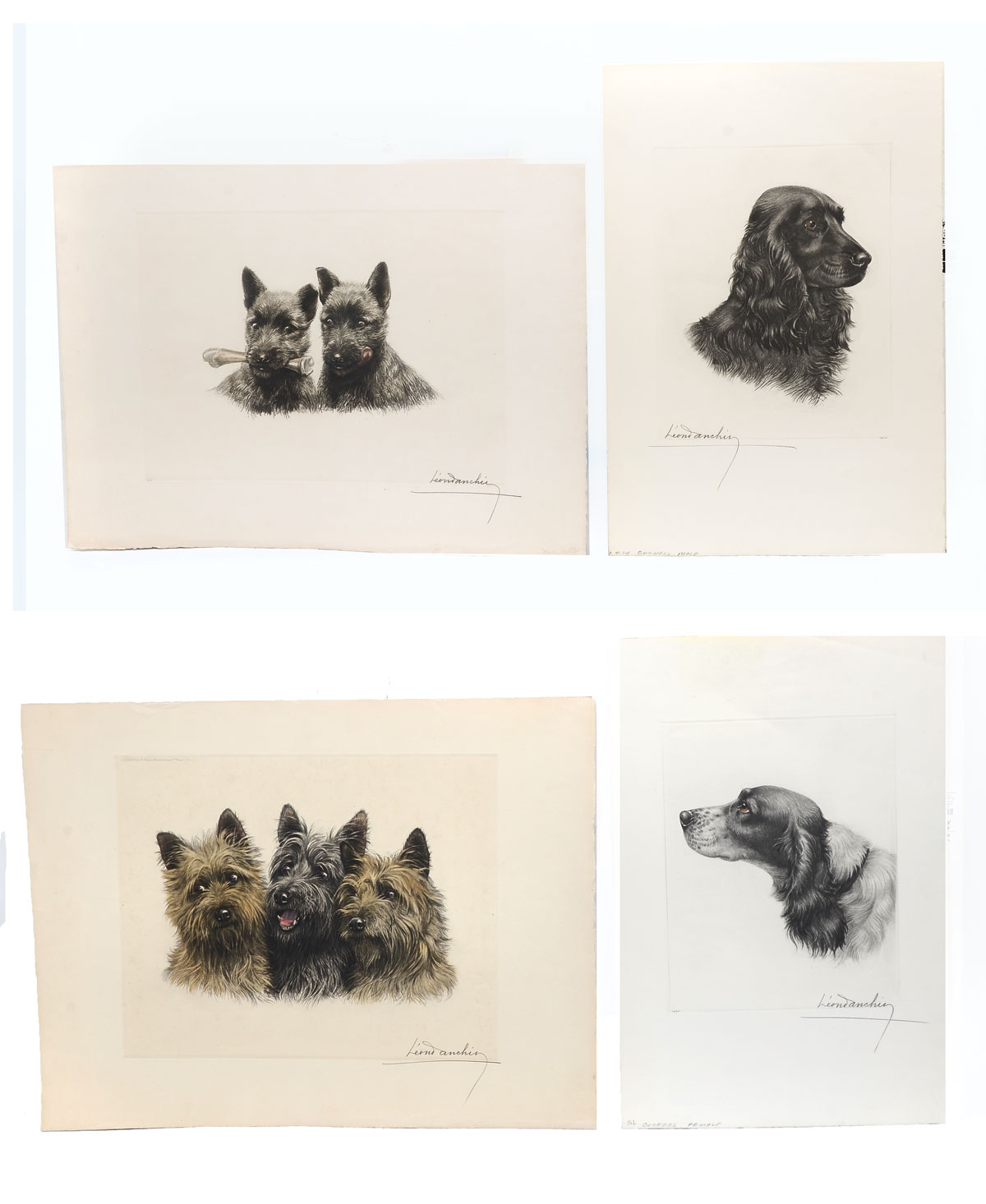 DANCHIN, Leon, (American,