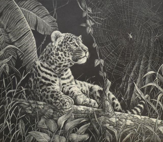 DANIEL C. TOLEDO WILDLIFE