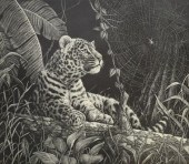 DANIEL C. TOLEDO WILDLIFE SCRA
