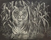 DANIEL C. TOLEDO WILDLIFE SCRA