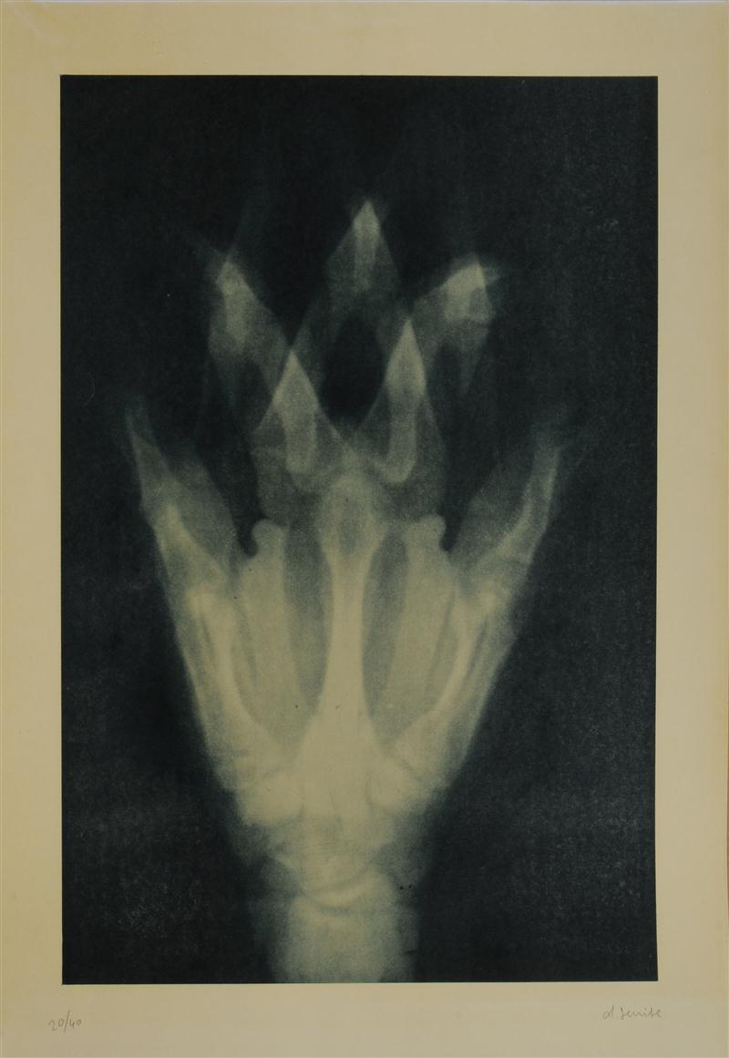 DANIEL SENISE (b. 1955): UNTITLED