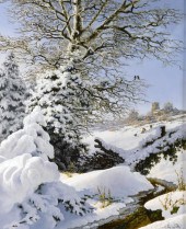 DANIEL VAN DER PUTTEN (1960-)<