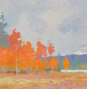 DANIEL W. PINKHAM, (B. 1952),