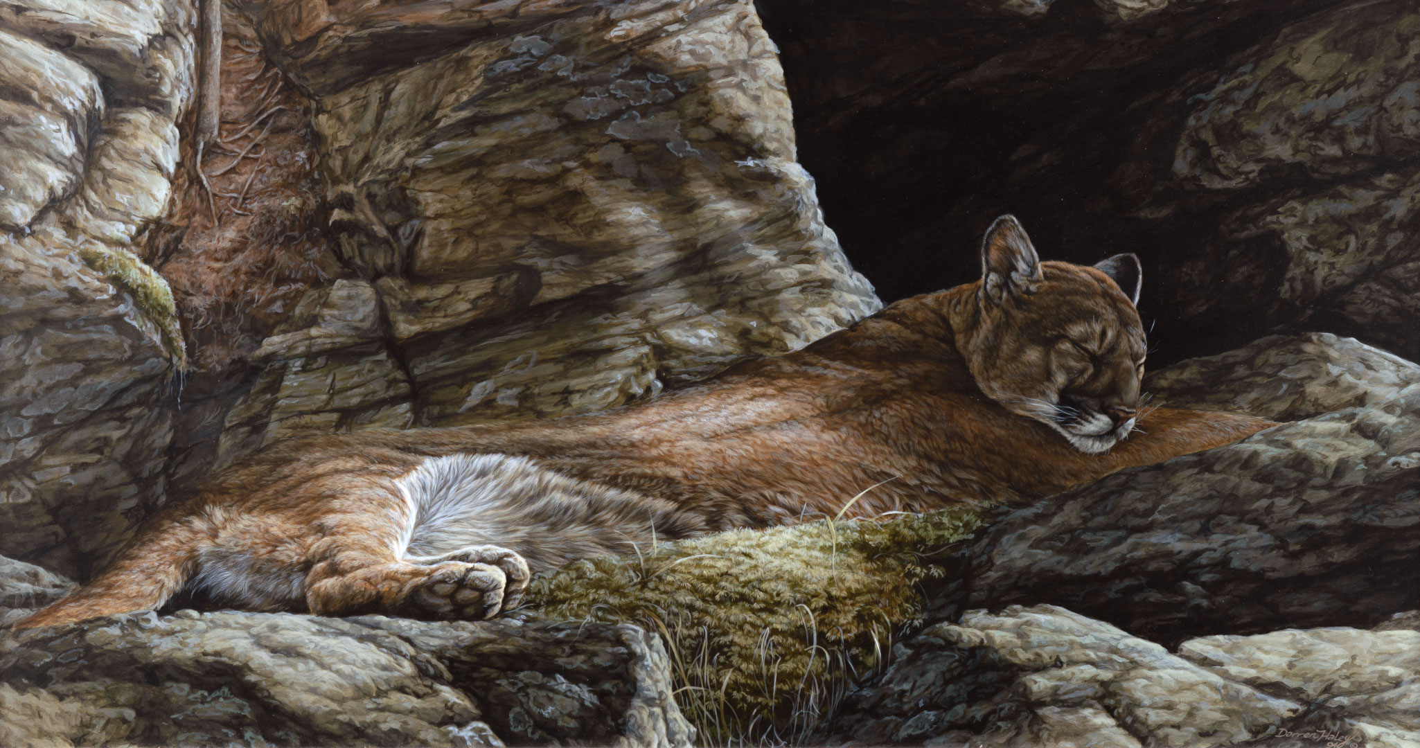 DARREN HALEY (20TH CENTURY), CAT