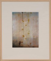 DARREN WATERSON (b. 1965): VAR