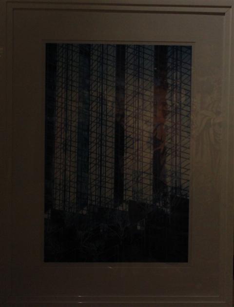 DARRYL SAVAGE AMERICAN A COLOR