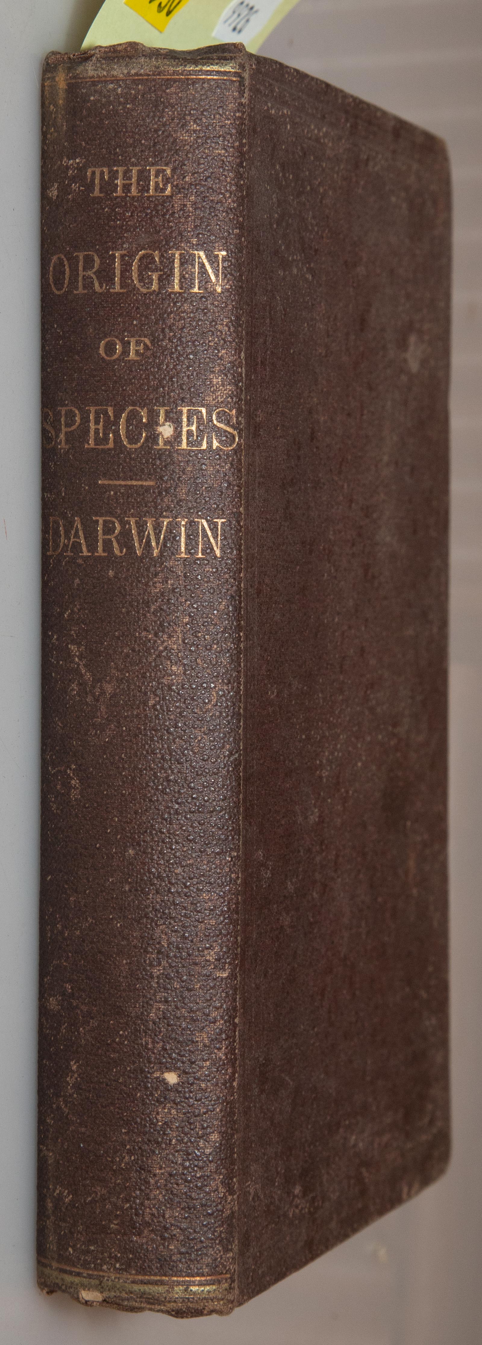 DARWIN. ORIGIN OF SPECIES, 1871