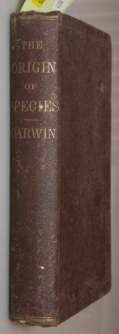 DARWIN. ORIGIN OF SPECIES, 187