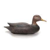 DAVE HODGMAN (MI), BLACKDUCK<b