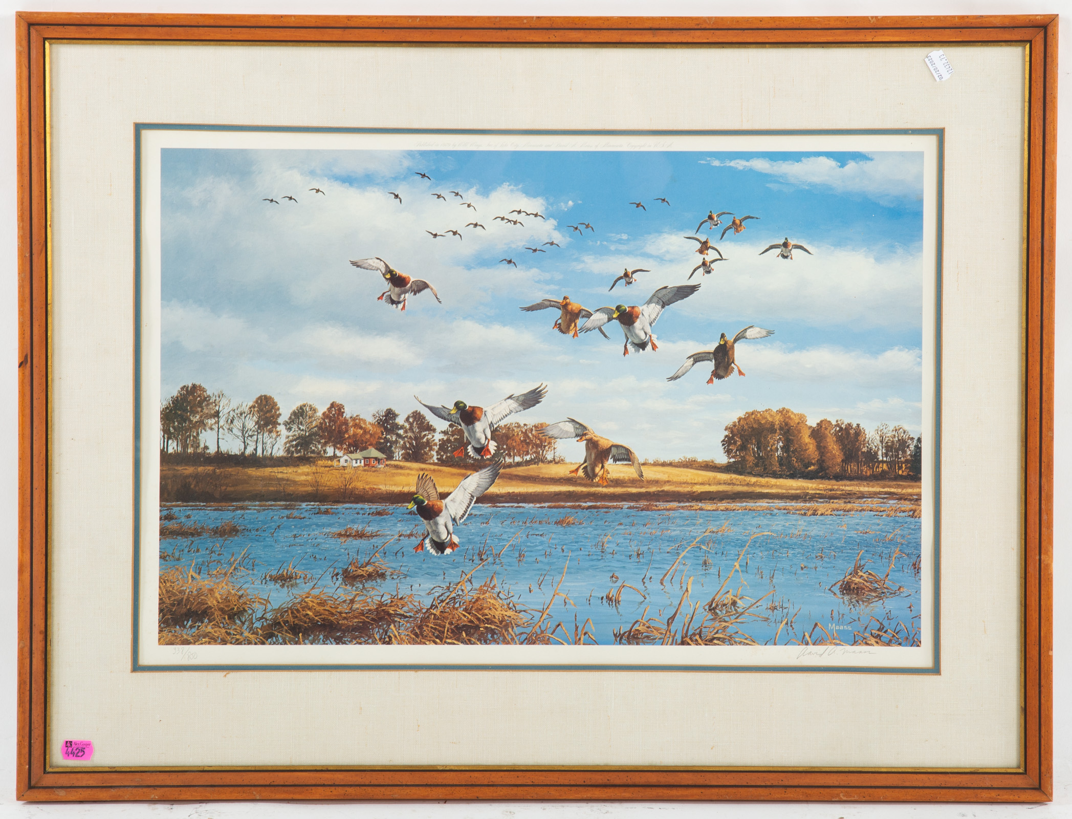 DAVID A. MAASS. FLYING IN, COLOR