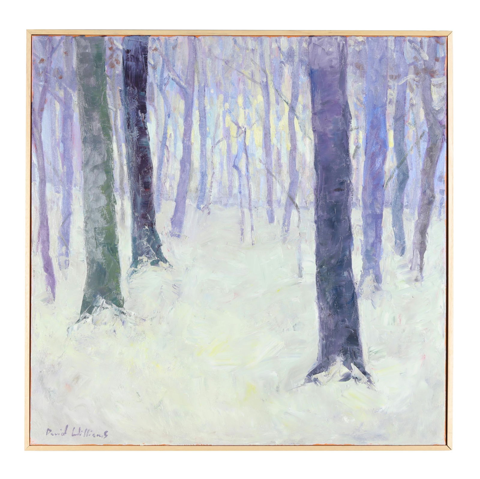 DAVID A. WILLIAMS (AMERICAN, B.