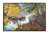 DAVID A. WILLIAMS 'RUSH' C. 19