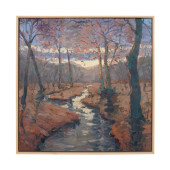 DAVID A. WILLIAMS 'WOODLAND ST