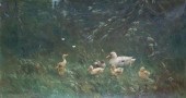 David Adolph Constant Artz Dut