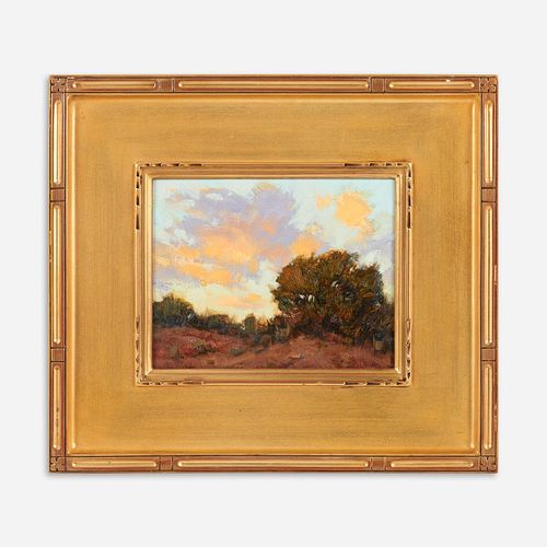 DAVID BALLEW "DESERT SUNSET"