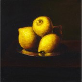 DAVID BIERK STILL LIFE FRAGMEN