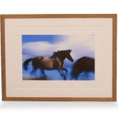 DAVID BROOKOVER LIMITED EDITIO