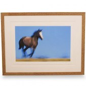 DAVID BROOKOVER LIMITED EDITIO