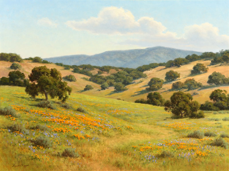 David Chapple (1947-* California)