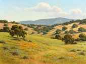 David Chapple (1947-* Californ