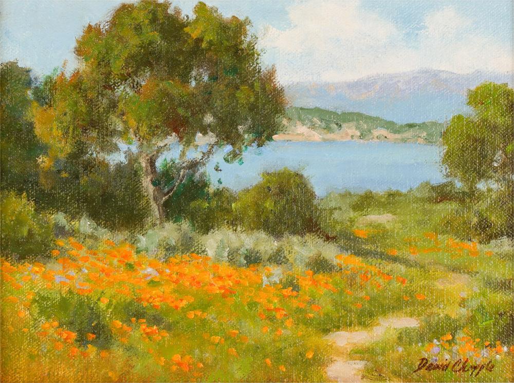 DAVID CHAPPLE (AMERICAN B. 1947):