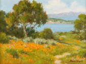 DAVID CHAPPLE (AMERICAN B. 194
