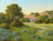 DAVID CHAPPLE (B. 1947): EVENI