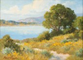 DAVID CHAPPLE (B. 1947): LOOKO