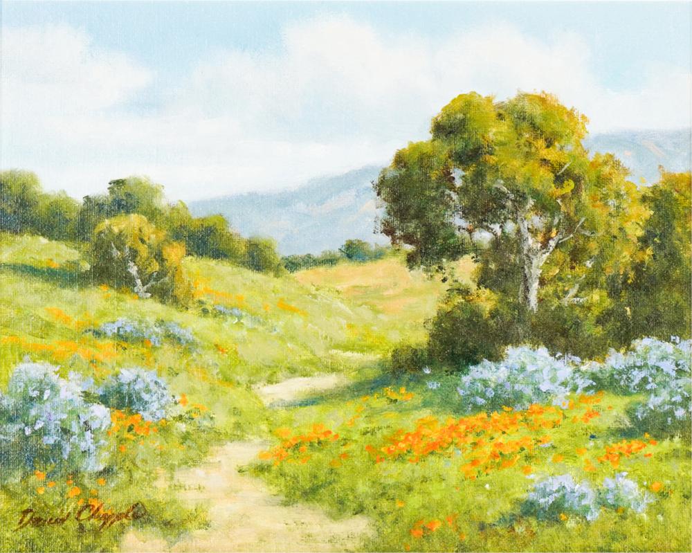 DAVID CHAPPLE (B.1947):