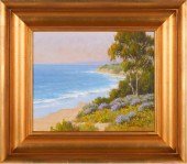 DAVID CHAPPLE (B.1947): "COAST