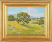 DAVID CHAPPLE (B.1947)): "SPRI