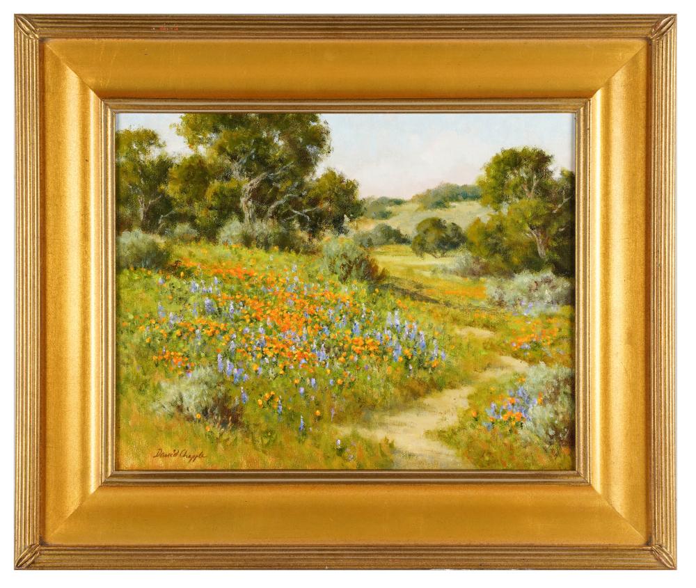 DAVID CHAPPLE (B.1947):