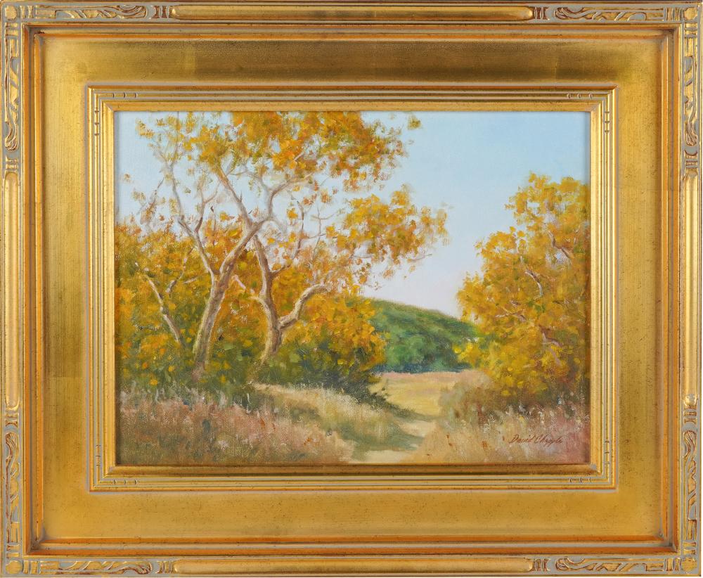 DAVID CHAPPLE (B.1947):"THE