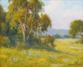 DAVID CHAPPLE (CALIFORNIA B. 1