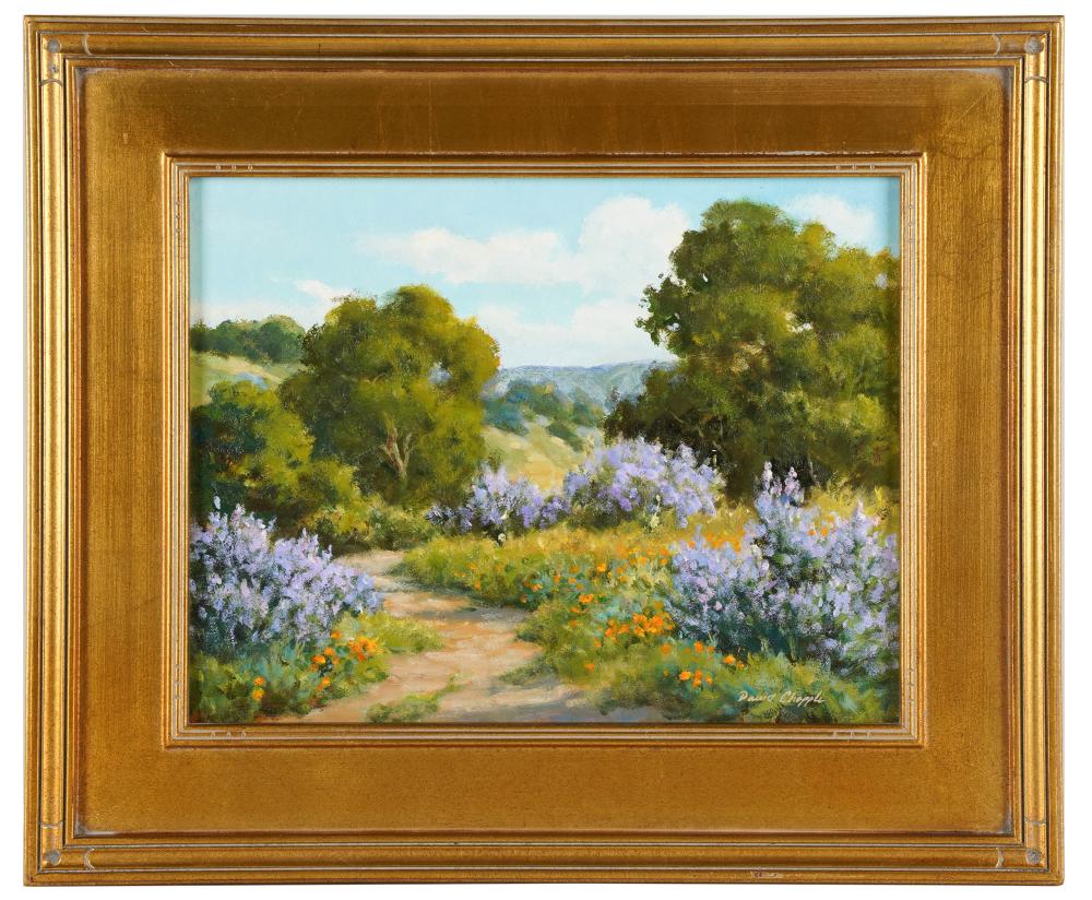 DAVID CHAPPLE: "CALIFORNIA