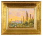 DAVID CHAPPLE: "DESERT EVENING