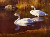 DAVID CHARLES WADE (1952-2019)
