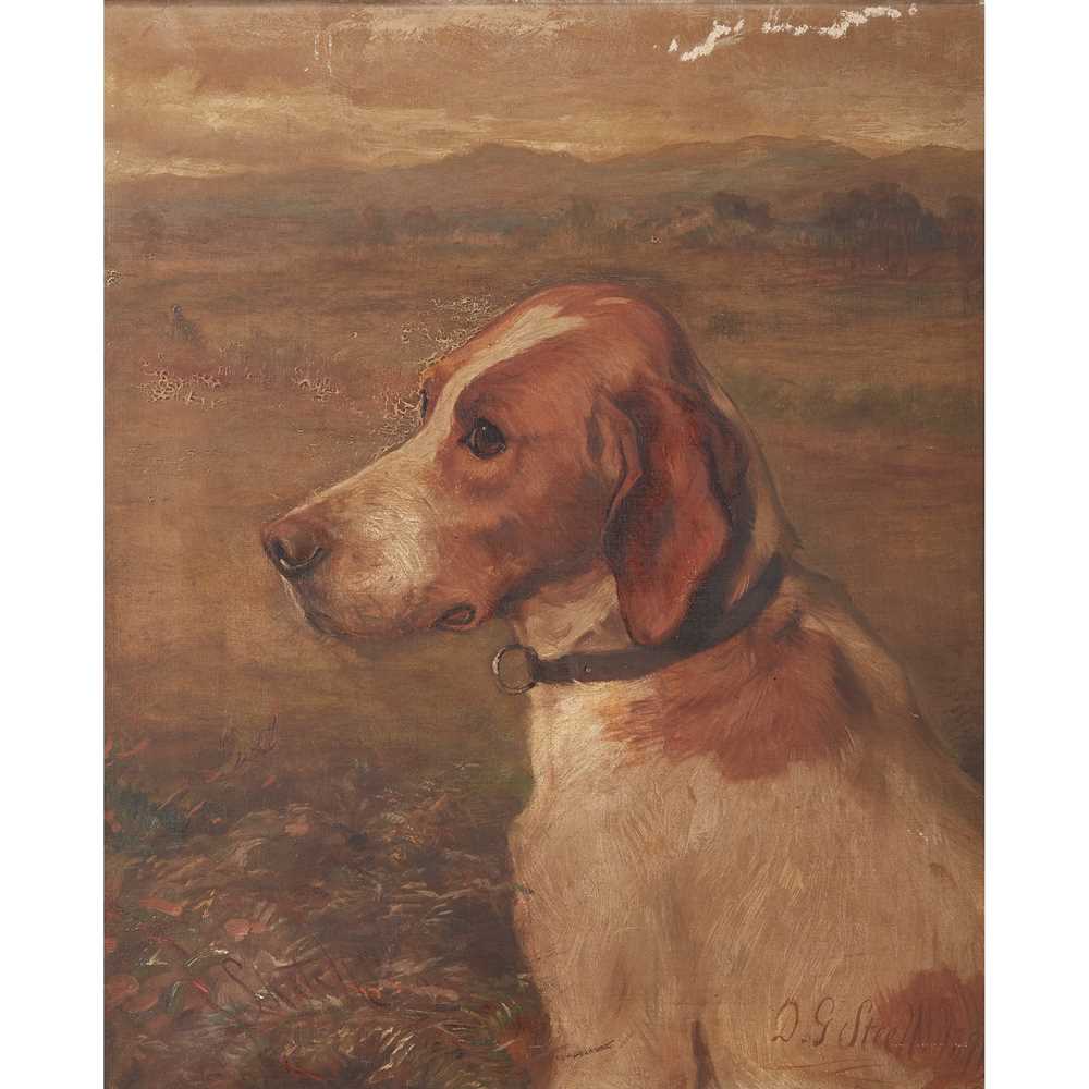 DAVID GEORGE STEELL (SCOTTISH